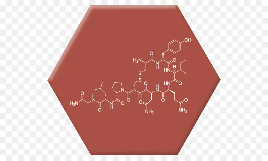 Estructura Química，Molécula PNG