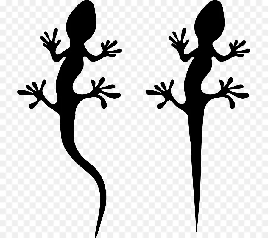 Siluetas De Gecko，Negro PNG