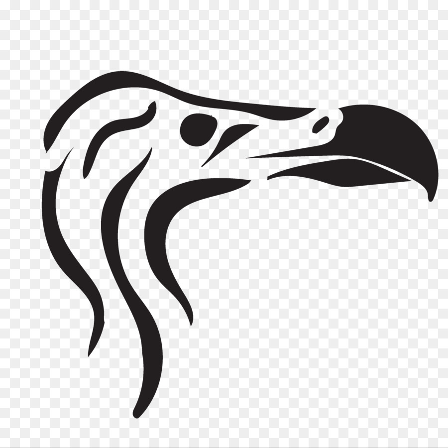 Animal，Aves PNG