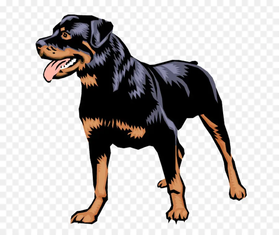 Perro Rottweiler，Perro PNG