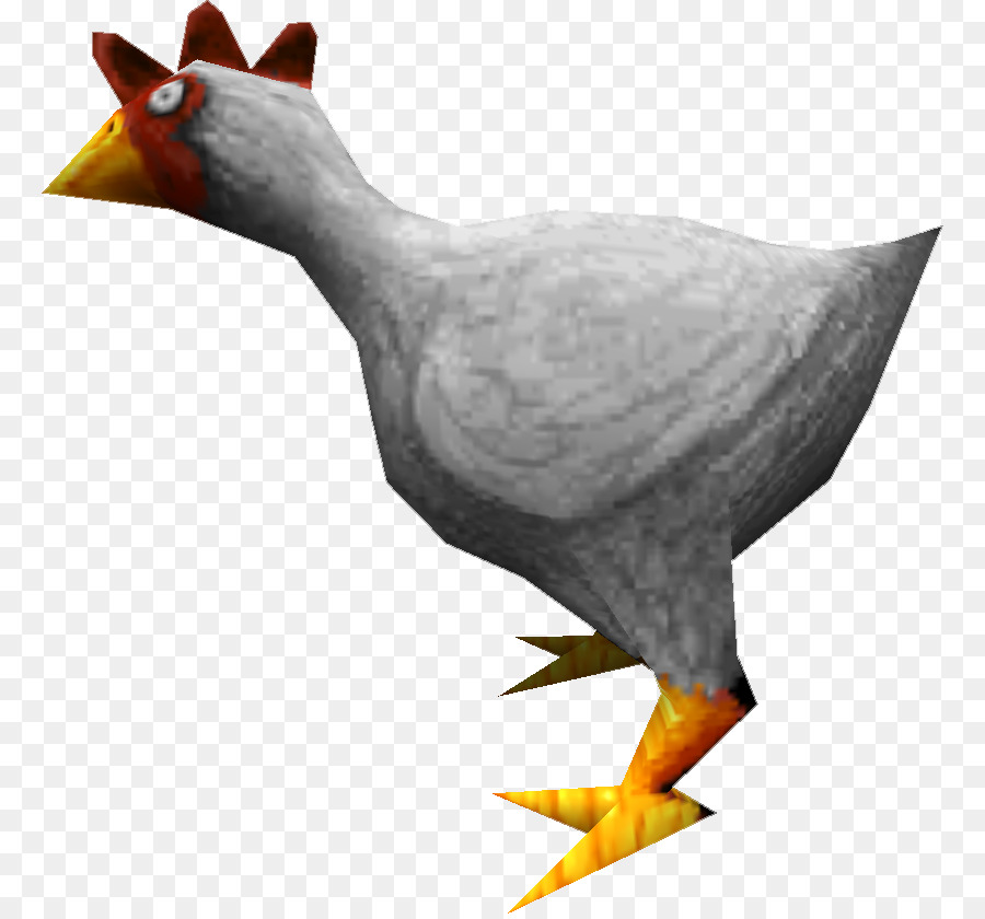 Pollo，Pato PNG