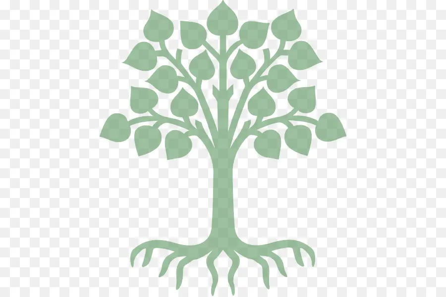 Árbol，Naturaleza PNG