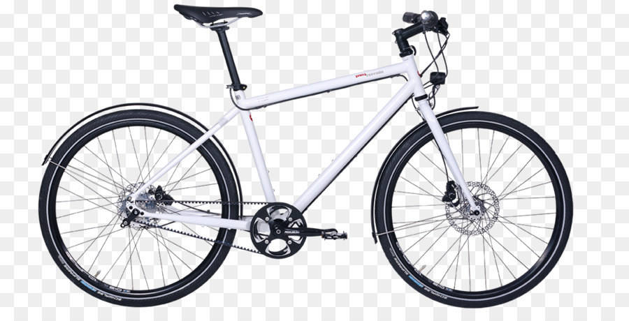 Bicicleta De Montaña，Kelly PNG