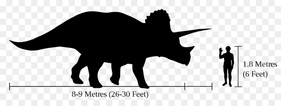 Anquilosaurio，Camarasaurus PNG