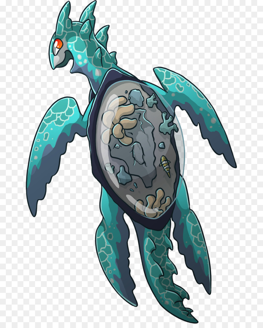 Tortuga Boba，Tortuga PNG