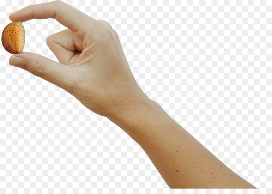 Pulgar，De La Mano PNG