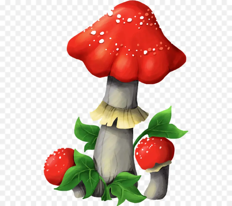 Hongos，Bosque PNG