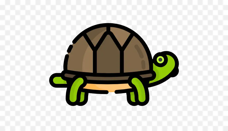 Tortuga，Verde PNG