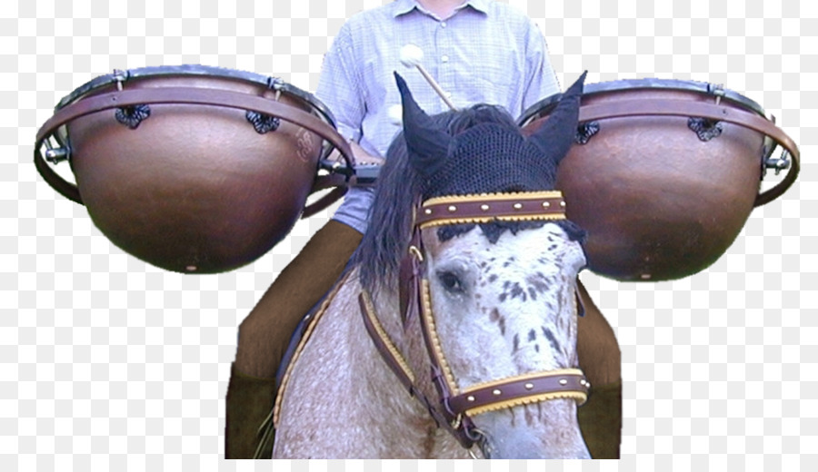 Caballo，Tomtoms PNG