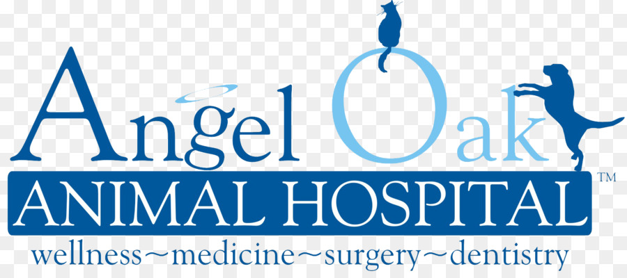 Angel Oak Hospital De Animales Inc，Odontología PNG