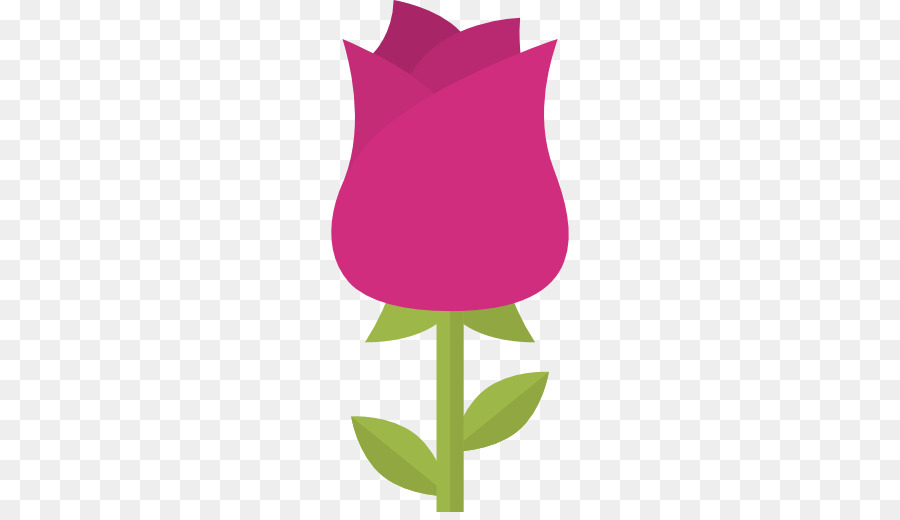 Rosa，Provenir PNG