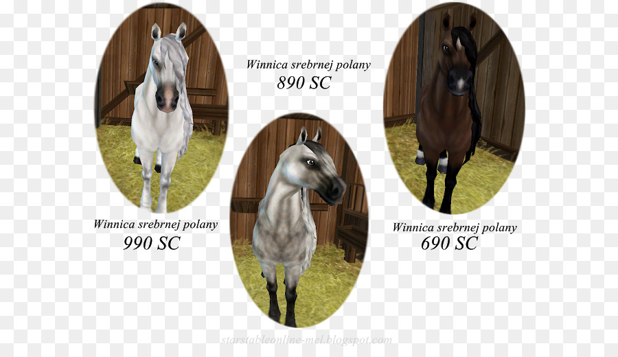 Star Stable，Mustang PNG