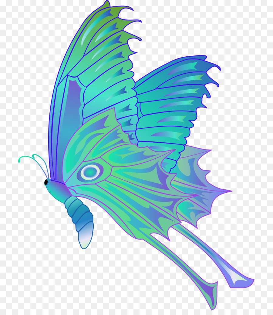 Mariposa，Dibujo PNG