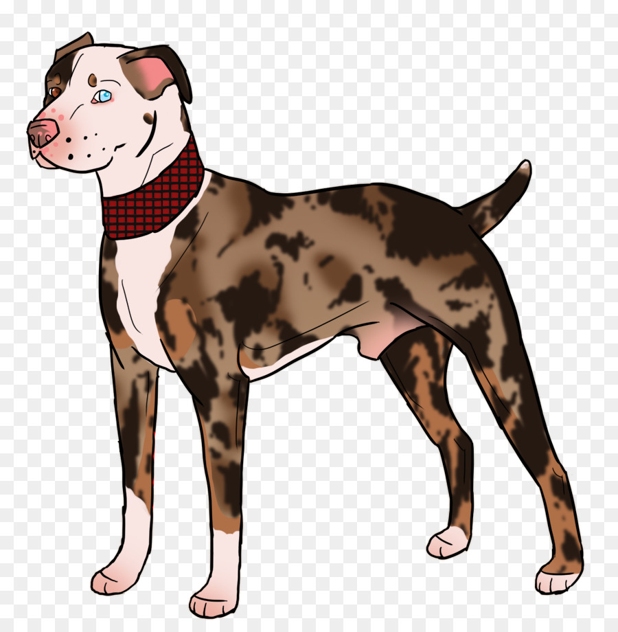 Raza De Perro，American Pit Bull Terrier PNG