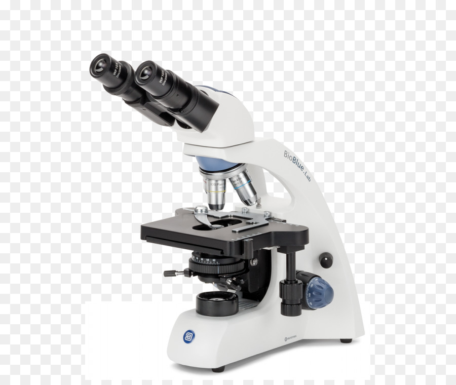 Microscopio，Ciencia PNG