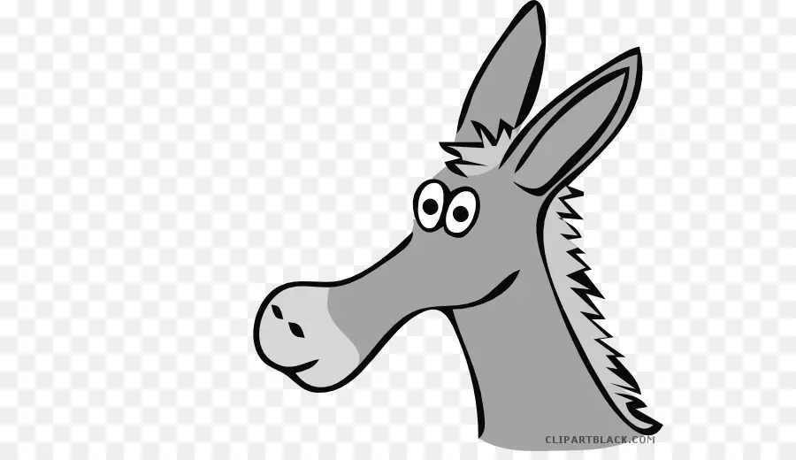 Burro，Mula PNG