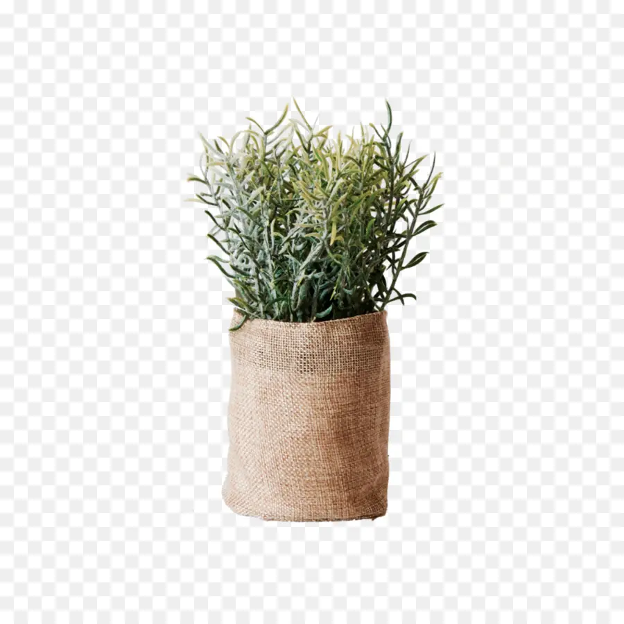 Maceta，Florero PNG