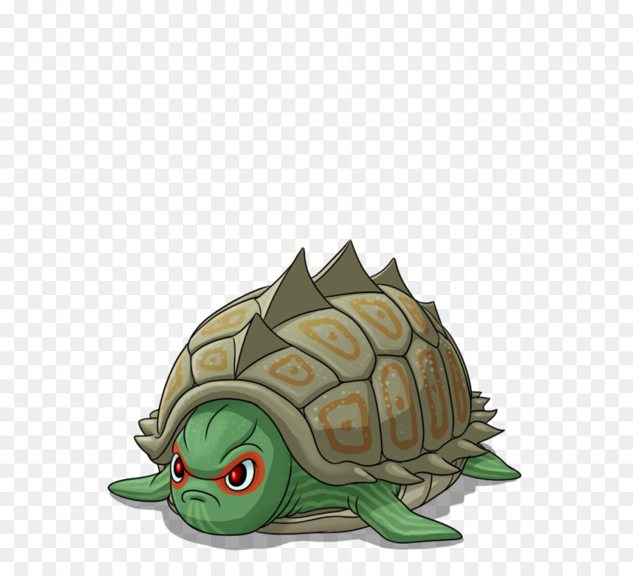 Las Tortugas De Caja，Tortuga PNG