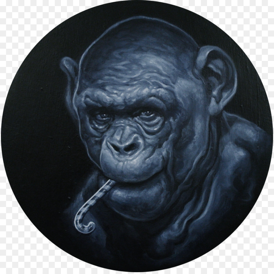 Chimpancé Común，Arte PNG