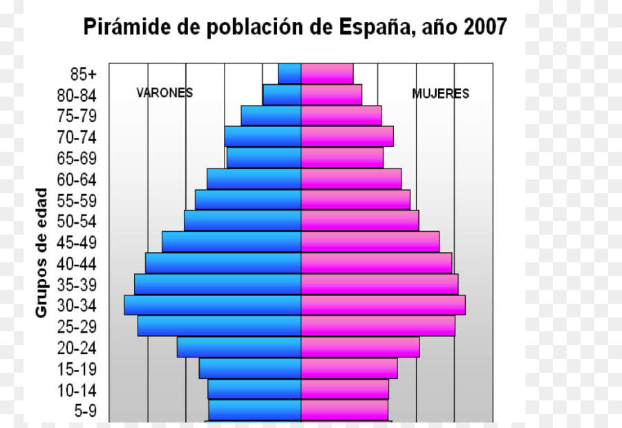 Estructura Etaria De La Población，Pirámide De Población PNG