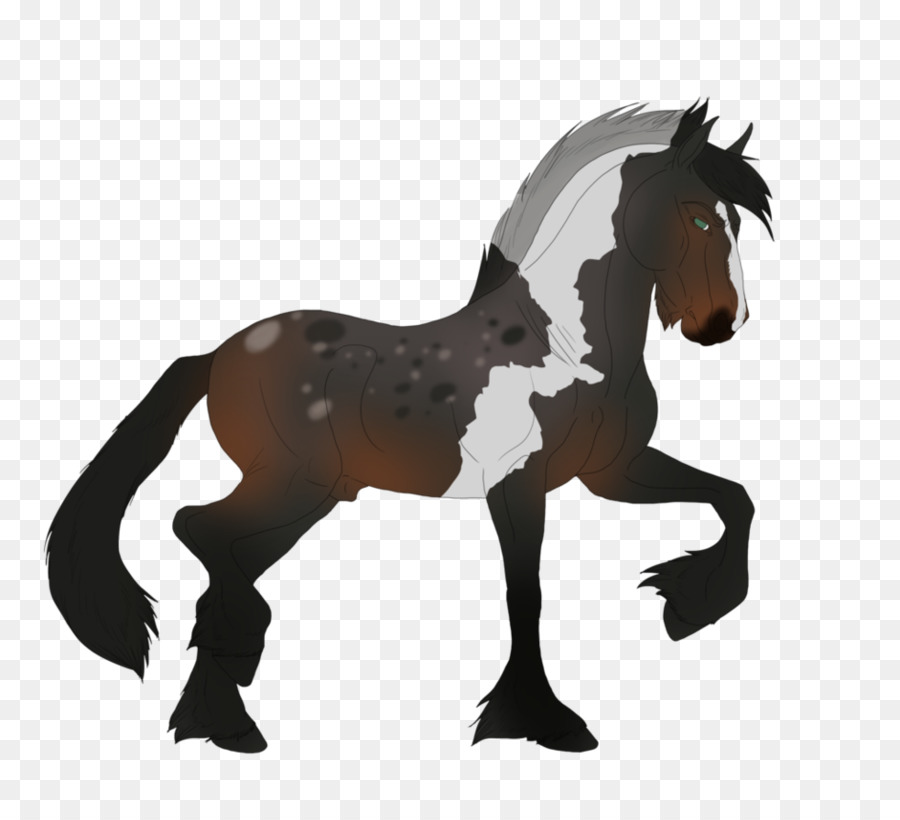 Caballo，Equino PNG