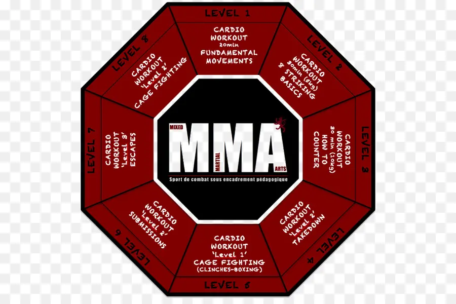 Niveles De Entrenamiento De Mma，Artes Marciales Mixtas PNG