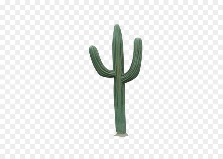 Cactaceae，Saguaro PNG