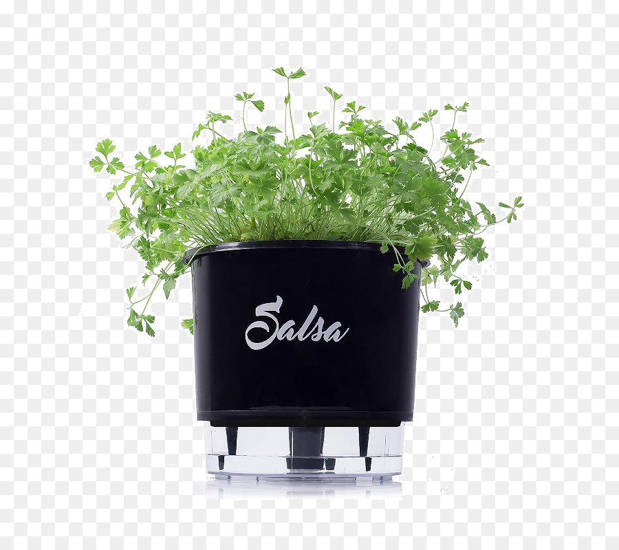 Florero，Maceta PNG