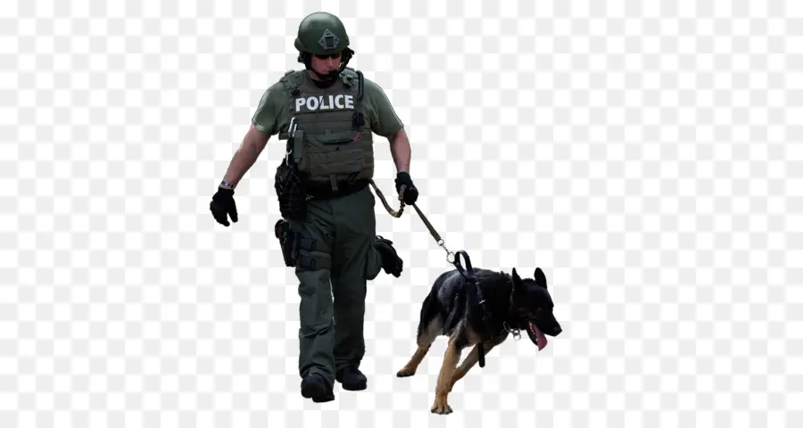 Oficial De Policía Con Perro，K9 PNG