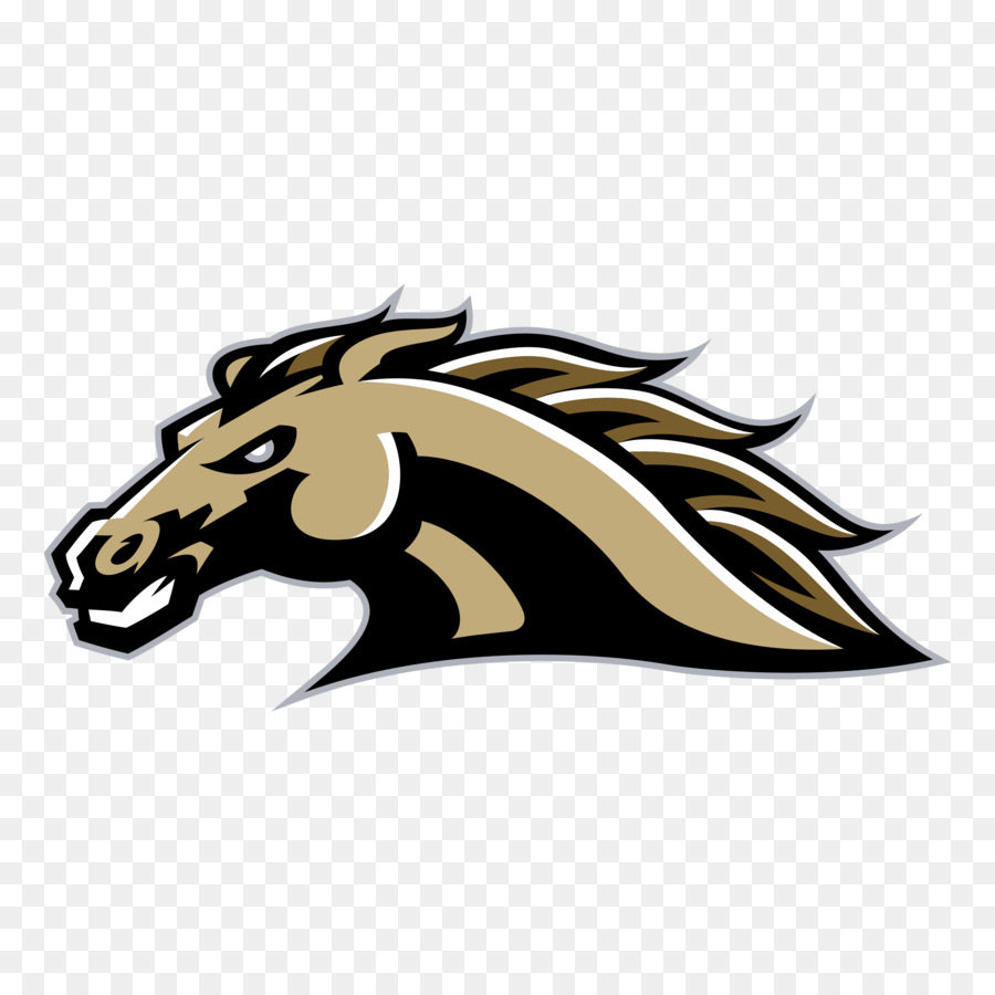 Universidad Occidental De Michigan，Western Michigan Broncos De Fútbol PNG