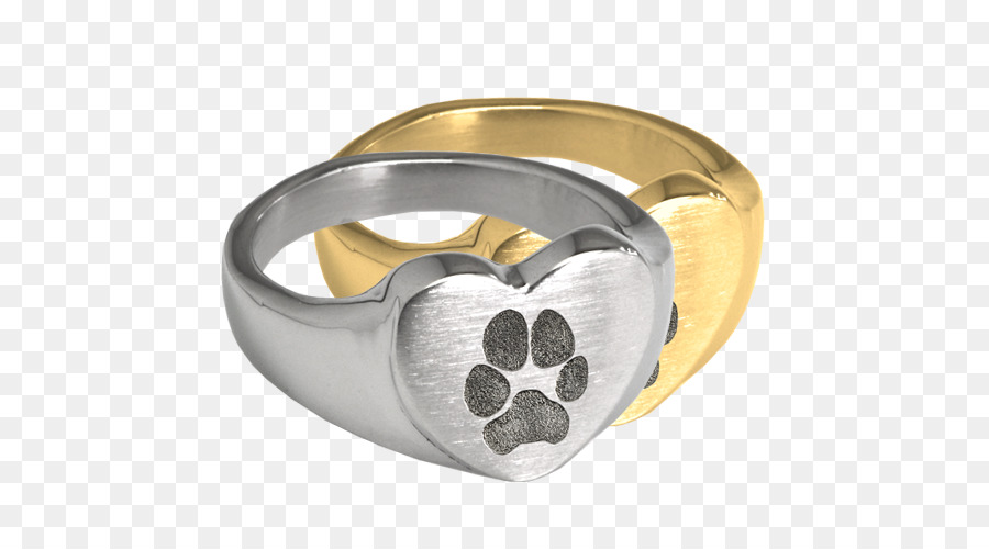 Anillo，Plata PNG