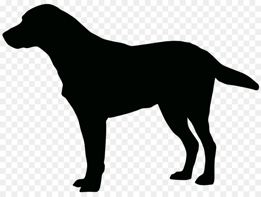 Perro Marrón，Mascota PNG