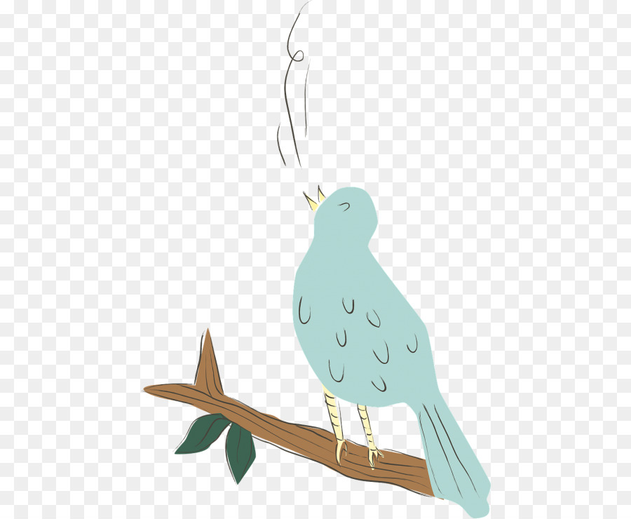 Aves，Dibujo PNG