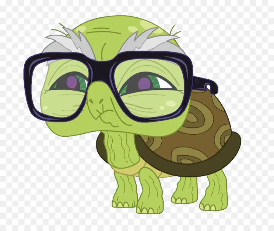 La Tortuga Y El Heredero，Tortuga PNG