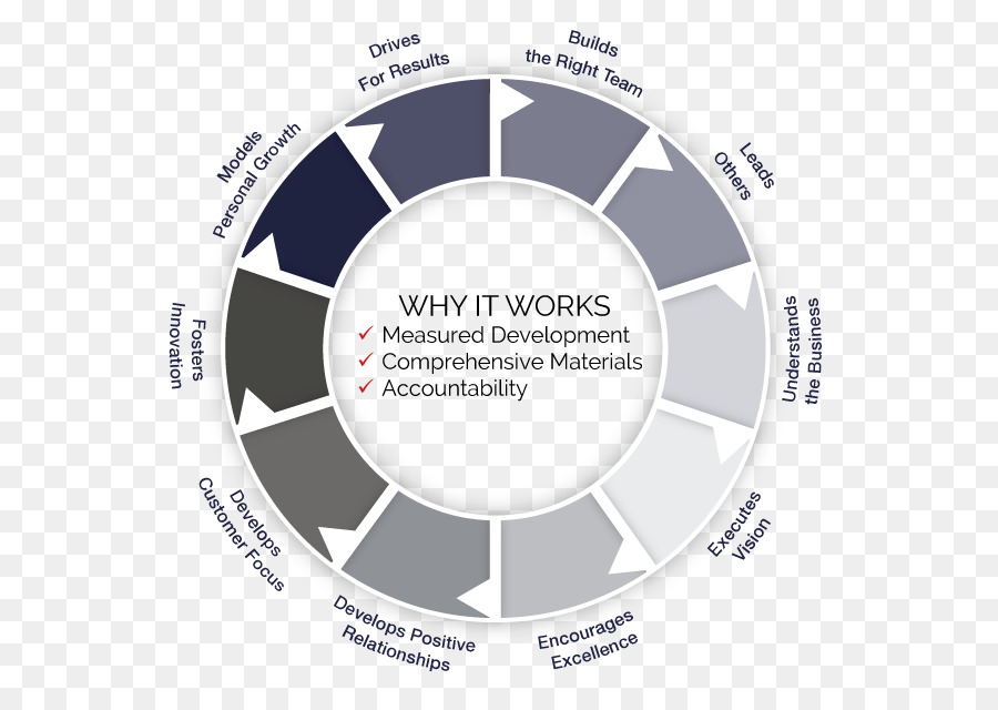 Massachusetts Eye And Ear Infirmary，Estrategia PNG