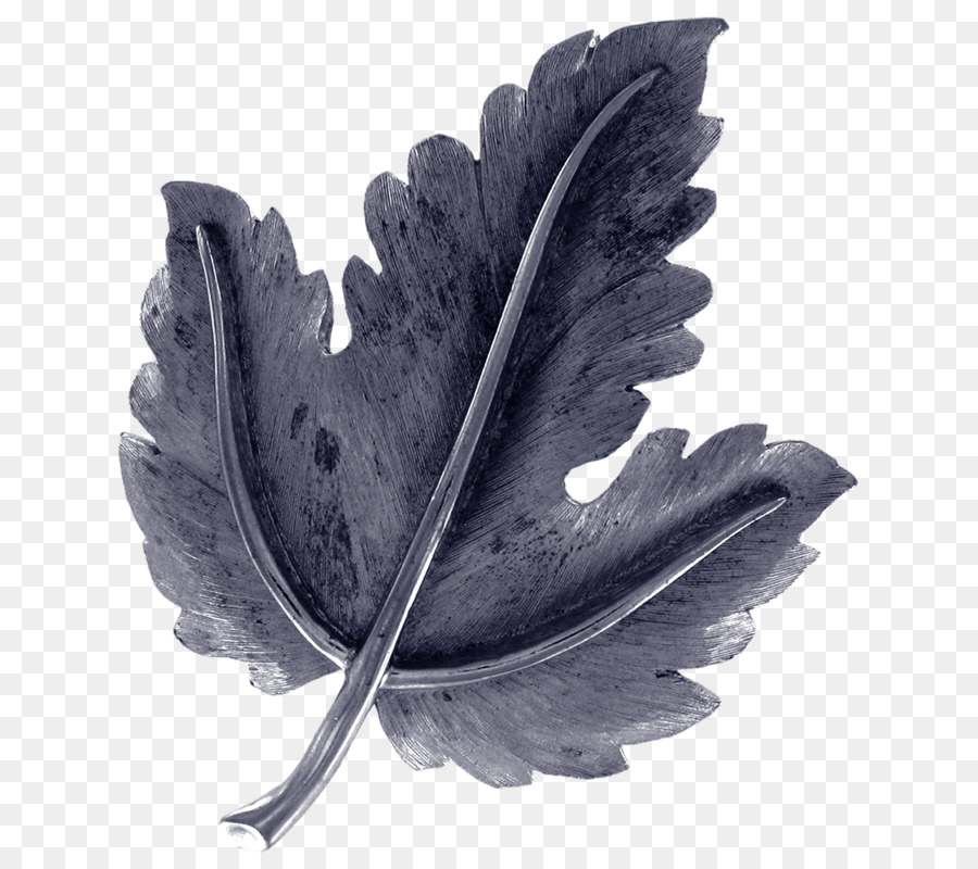 Hoja，Blanco PNG