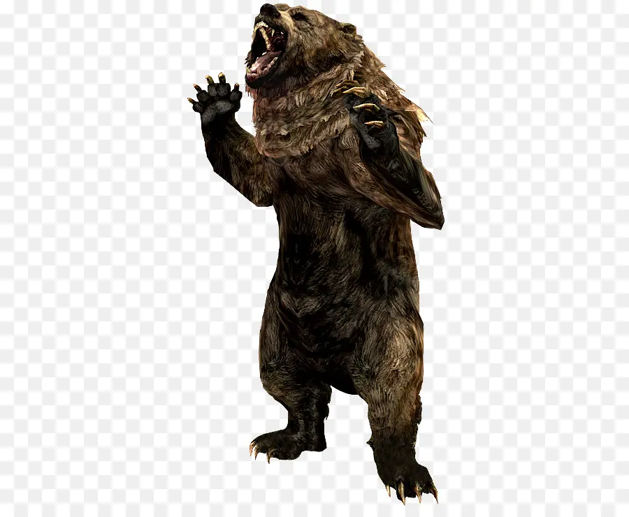 Grizzly Bear，Elder Scrolls V Skyrim Hija De Dragones PNG