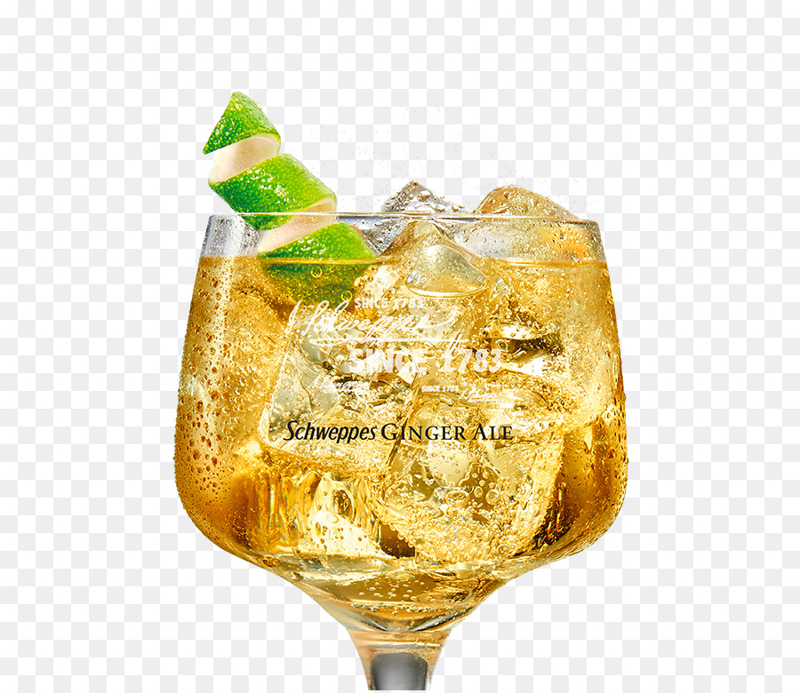 Cóctel De Guarnición，Ginger Ale PNG