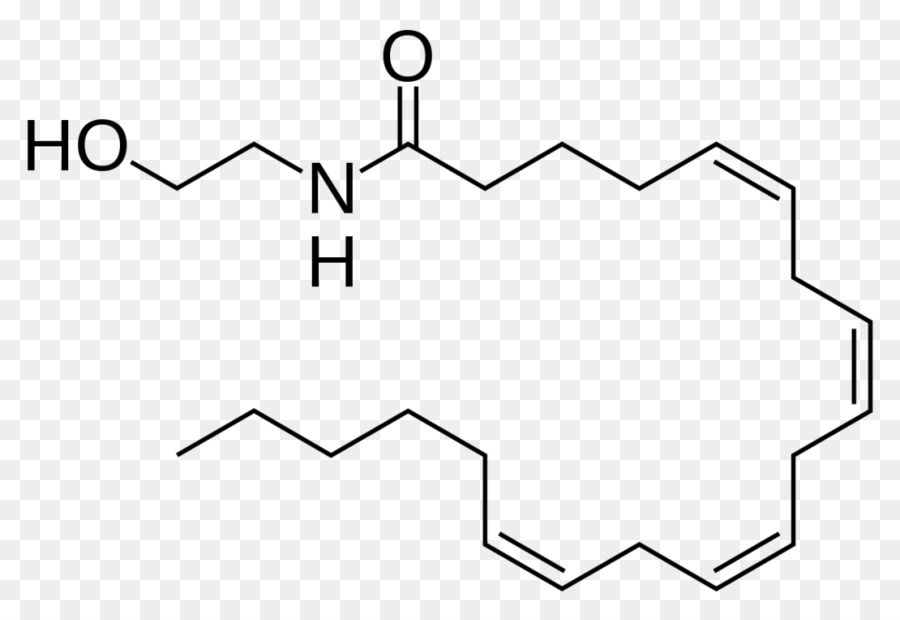 Anandamida，Molécula PNG