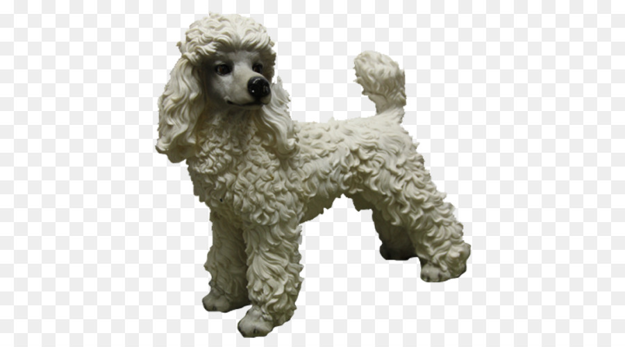 Caniche Blanco，Perro PNG