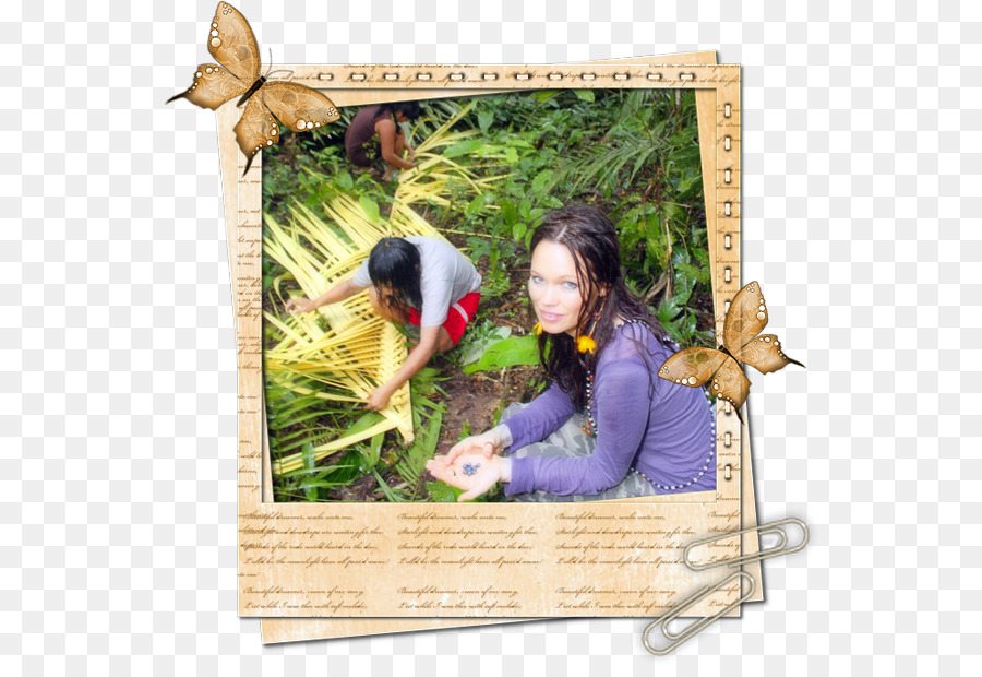 Bosque，La Reforestación PNG