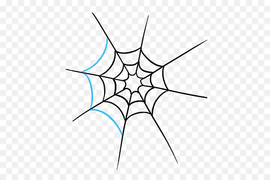 Araña，Dibujo PNG