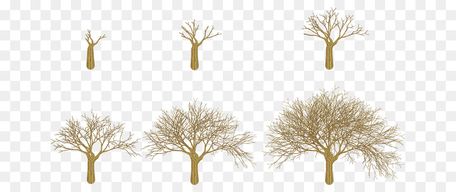 Árbol，Glog PNG