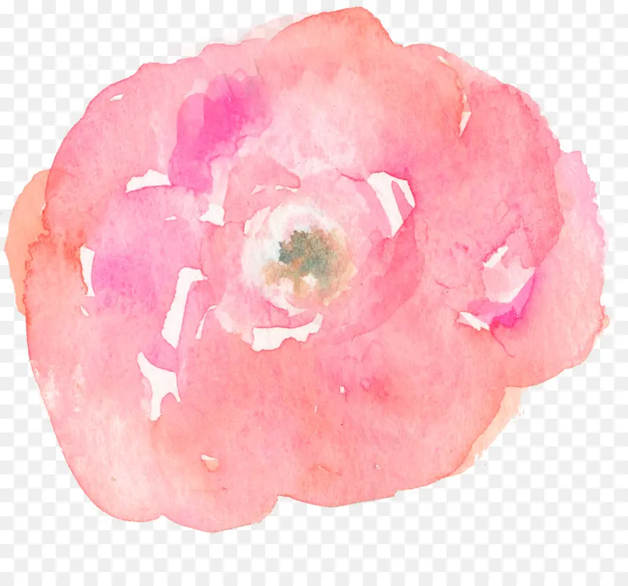 Acuarela De Flores，Pintura A La Acuarela PNG