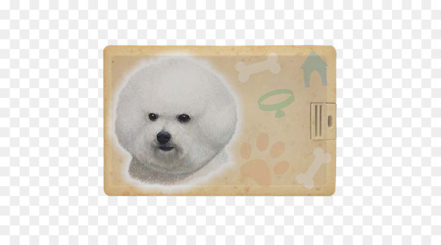 Pomerania，Perro Maltés PNG