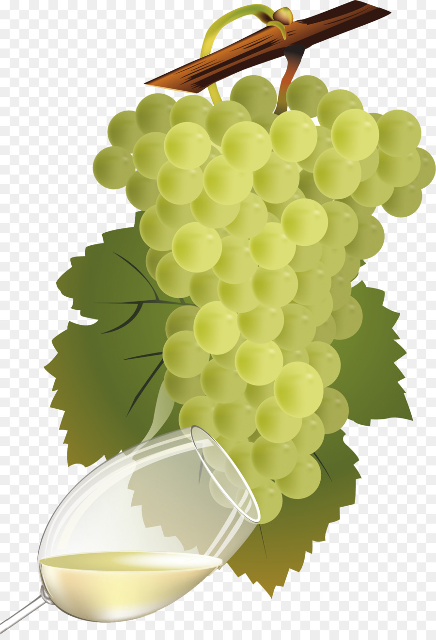 Uvas，Enredadera PNG