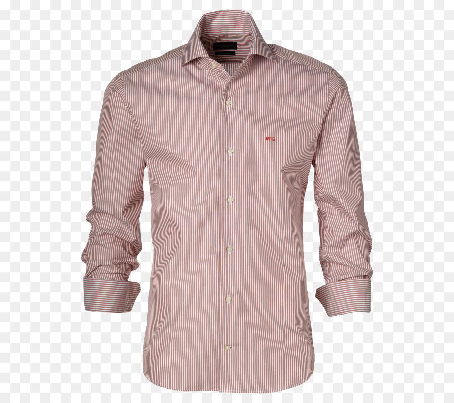 Blusa，Rosa M PNG