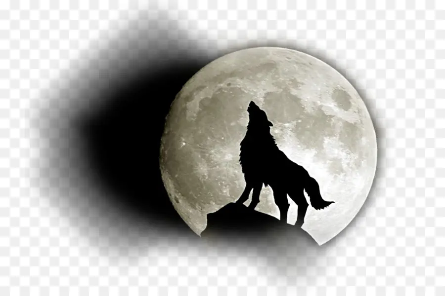 Lobo Aullando A La Luna，Luna PNG