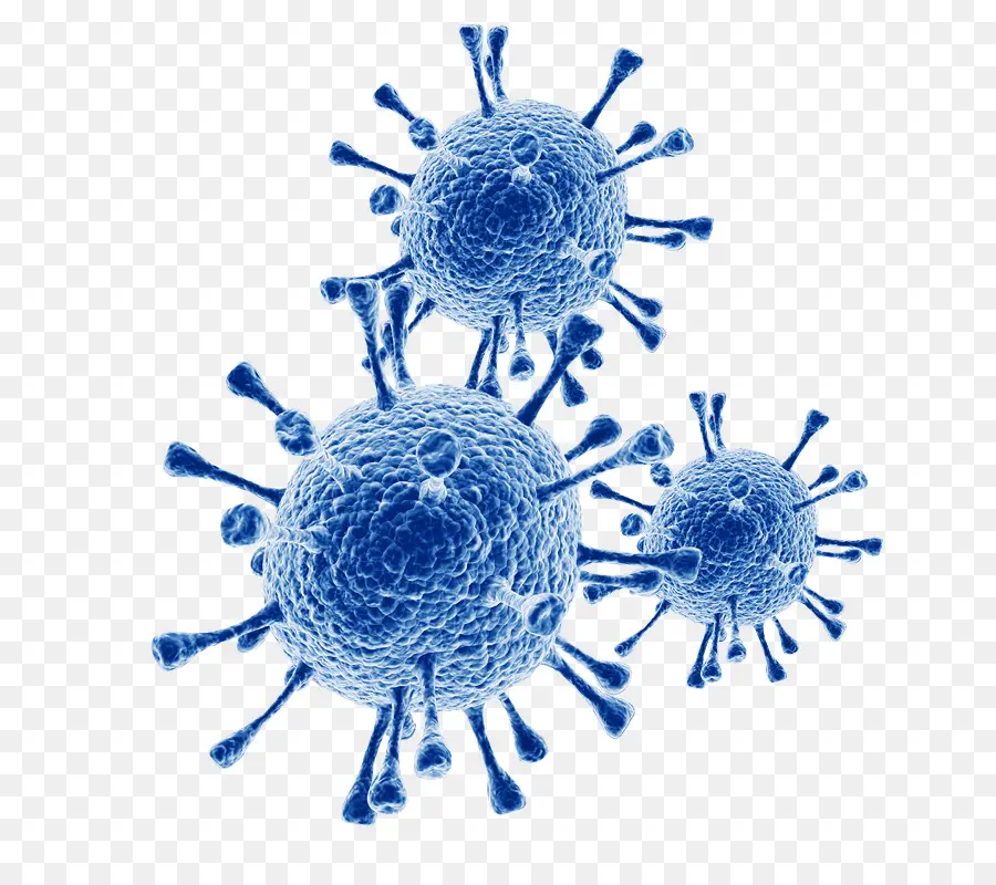 Virus，El Virus Sincitial Respiratorio Enfermedades Infecciosas PNG