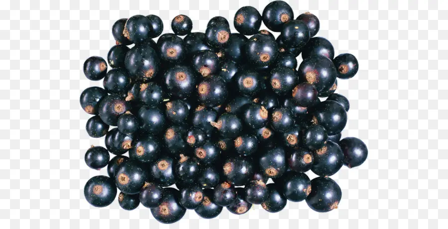 Huckleberry，Zante Grosella PNG